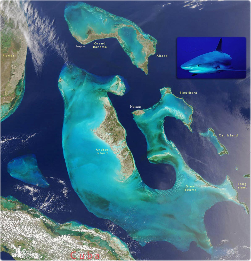 San Andros Island Map Map Of The Bahamas