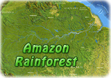 Amazon rainforest