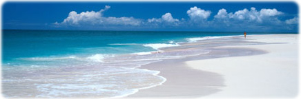Beach Barbuda