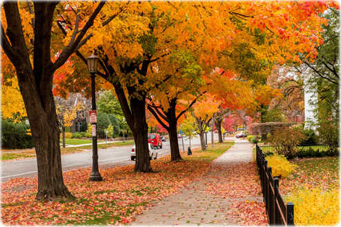 Fall on Summit Avenue