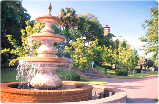 Fountain Georgetown