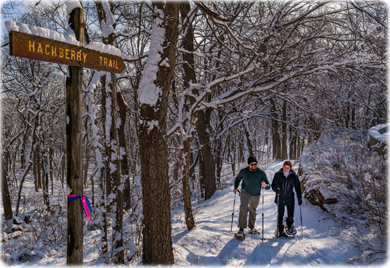 Hackberry Trail