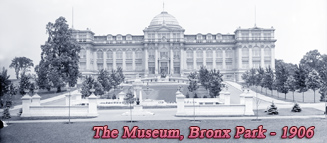 Museum Bronx