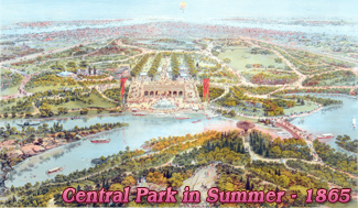 Central Park Summer