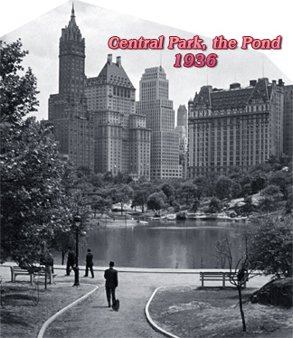 Central Park pond