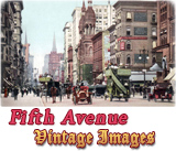 Fifth Avenue New York