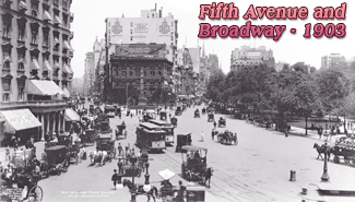 Fifth Avenue NY